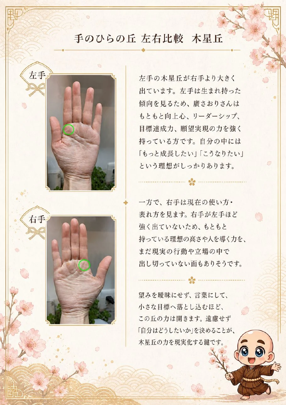 究極の手相鑑定書サンプル 11ページ目|手のひらの丘の解説