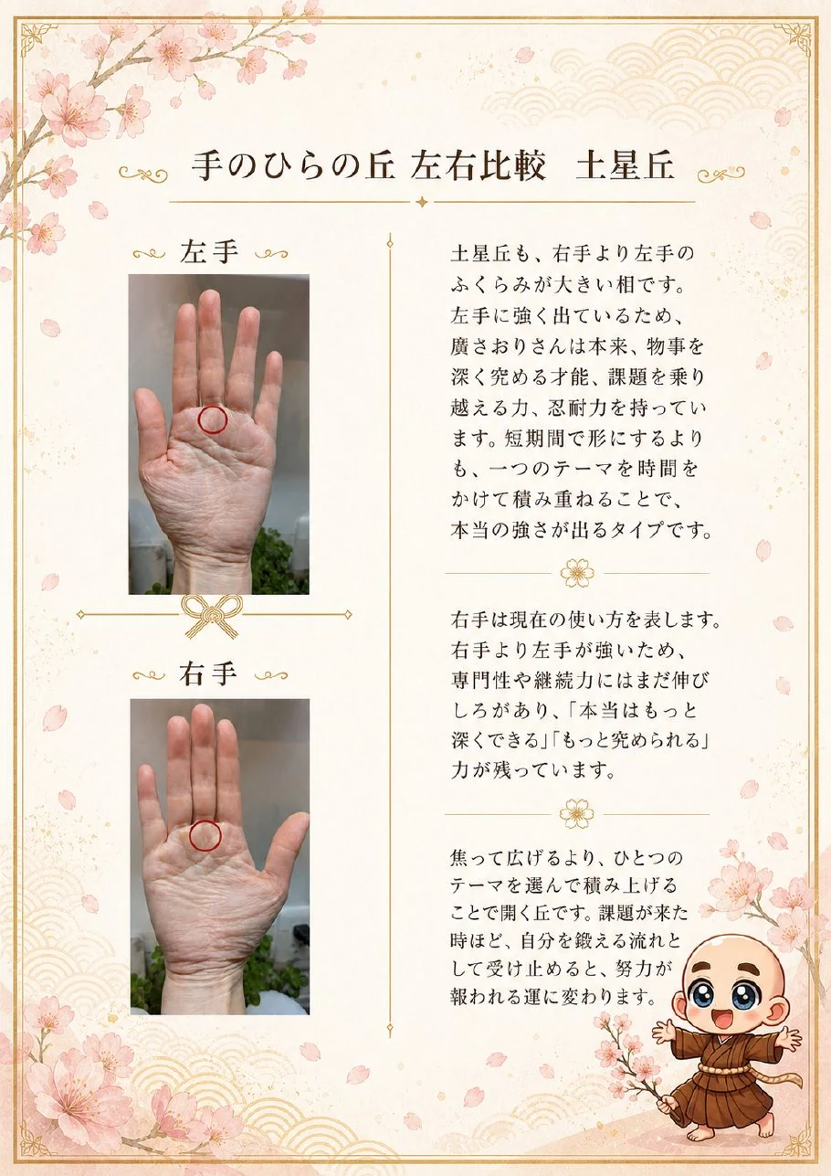 究極の手相鑑定書サンプル 12ページ目|手のひらの丘の解説