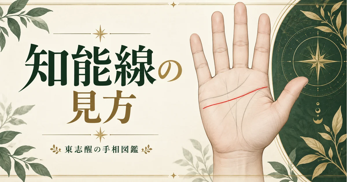 知能線のアイキャッチ